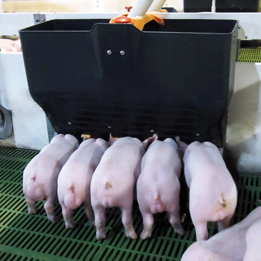 Автоматизація годування: переваги та технології