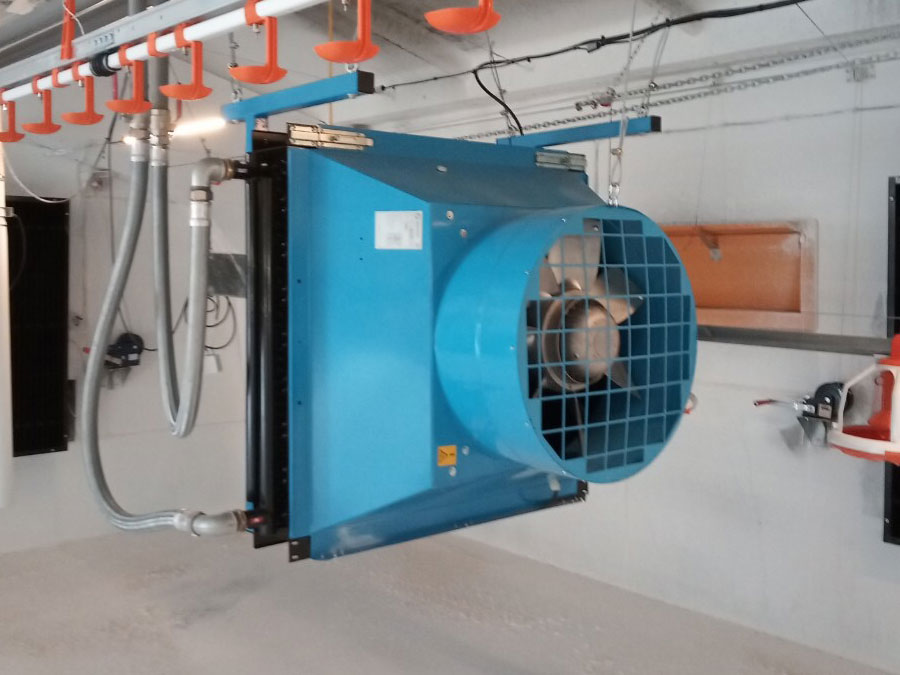 Опалення свиноферм: сучасні рішення